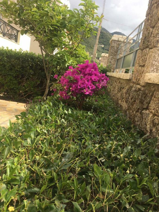 The Little Prince Luxury Suites Ypsos Exterior foto